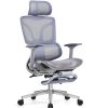 Ghế Công Thái Học CTH900 Màu Xám