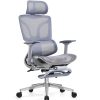 Ghế Công Thái Học CTH900 Màu Xám