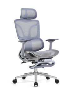 Ghế Công Thái Học CTH900 Màu Xám